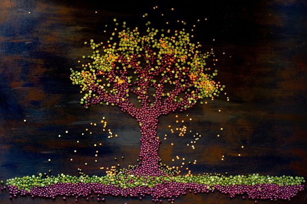 La cuisine végétalienne : Recettes savoureuses sans produits d'origine animale